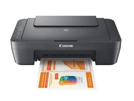Canon Pixma MG2551S